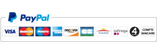 Paypal accept sur CARnLink